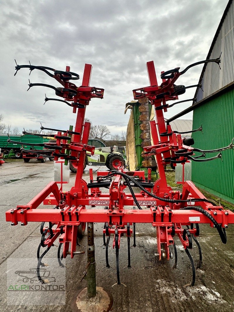 Hackgerät del tipo Maschio HS 6F 70-80 5M, Gebrauchtmaschine en Liebenwalde (Imagen 14)