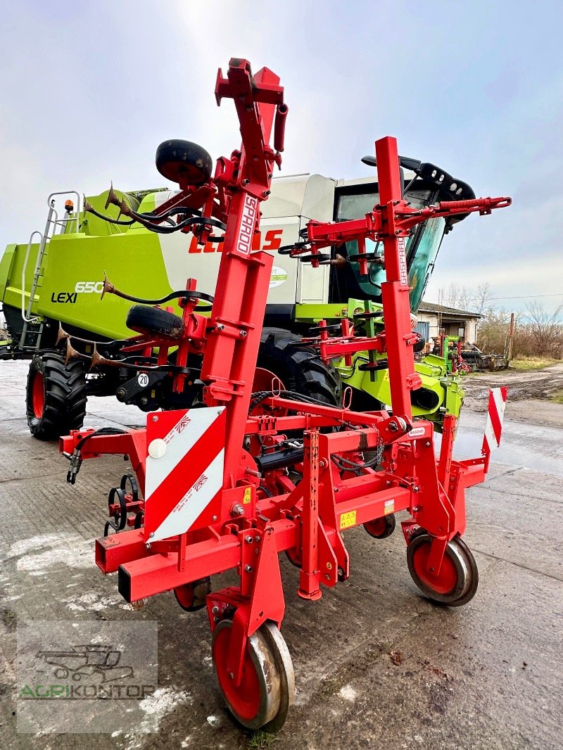 Hackgerät del tipo Maschio HS 6F 70-80 5M, Gebrauchtmaschine en Liebenwalde (Imagen 16)