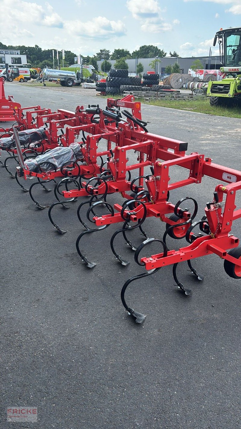Hackgerät του τύπου Maschio HS 8-reihig, Neumaschine σε Bockel - Gyhum (Φωτογραφία 5)