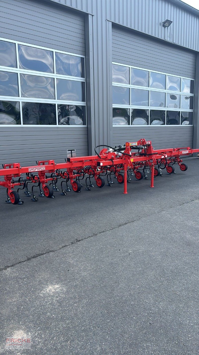 Hackgerät του τύπου Maschio HS 8-reihig, Neumaschine σε Bockel - Gyhum (Φωτογραφία 6)