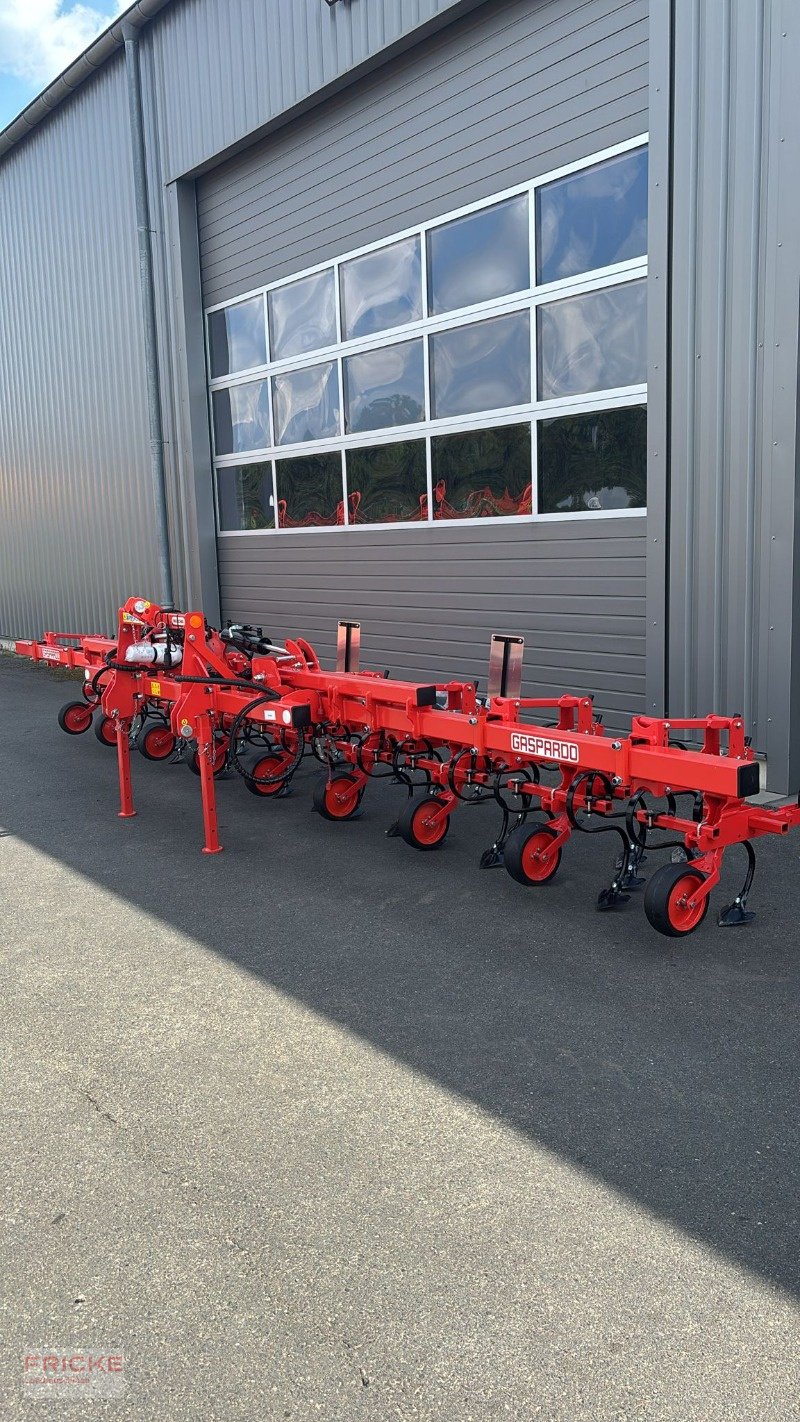 Hackgerät του τύπου Maschio HS 8-reihig, Neumaschine σε Bockel - Gyhum (Φωτογραφία 7)