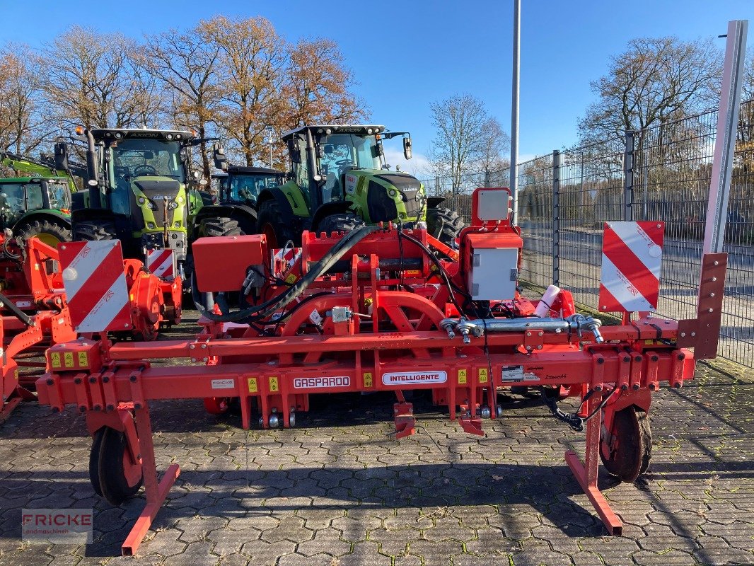 Hackgerät a típus Maschio Intelligente, Gebrauchtmaschine ekkor: Bockel - Gyhum (Kép 2)