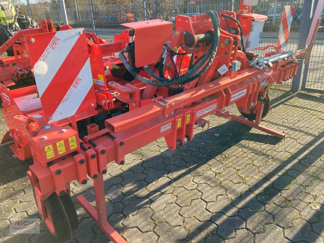 Hackgerät a típus Maschio Intelligente, Gebrauchtmaschine ekkor: Bockel - Gyhum (Kép 3)