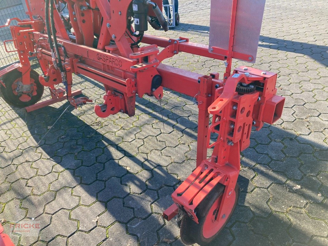 Hackgerät a típus Maschio Intelligente, Gebrauchtmaschine ekkor: Bockel - Gyhum (Kép 4)