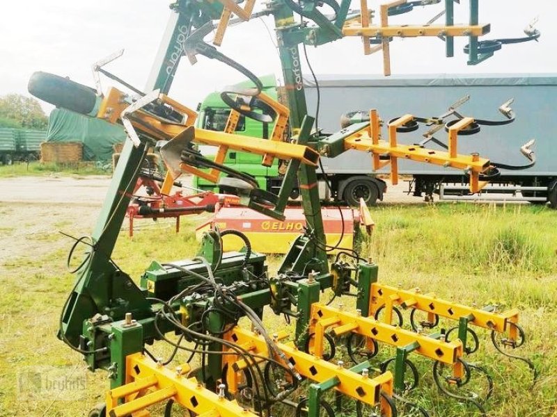 Hackgerät des Typs Sonstige Garford Robocrop Hacke 8 Reihen - mit Kamera, Gebrauchtmaschine in Karstädt (Bild 1)