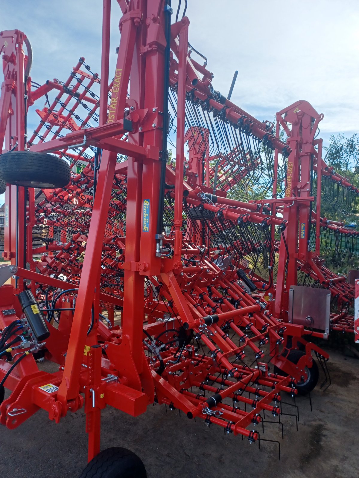 Hackstriegel of the type Einböck Aerostar Exact 1200, Neumaschine in Uffenheim (Picture 2)