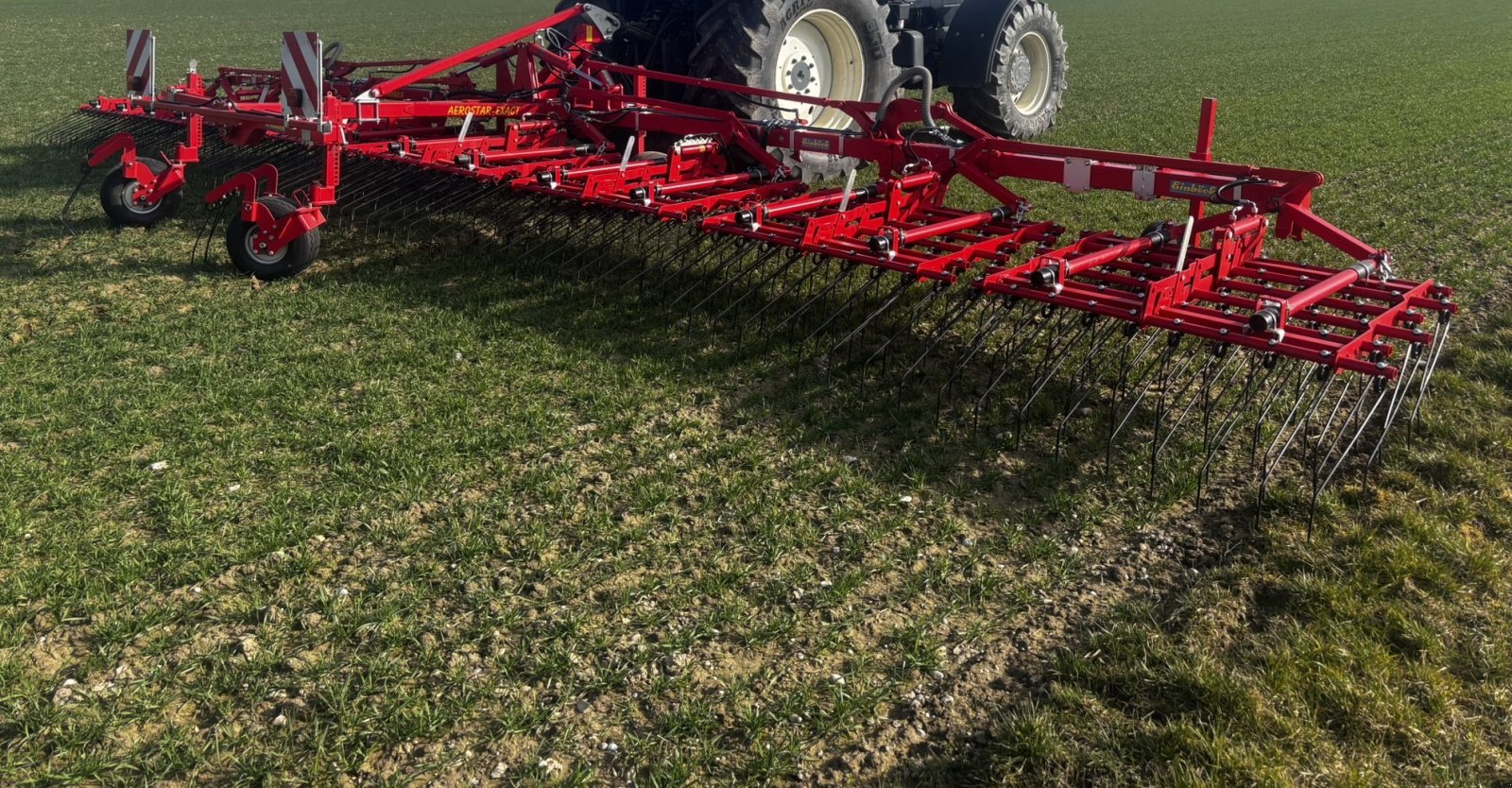 Hackstriegel типа Einböck Aerostar-Exact 1200, Gebrauchtmaschine в Erdweg (Фотография 1)