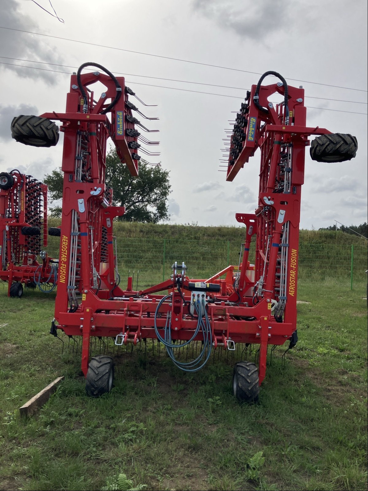 Hackstriegel des Typs Einböck AEROSTAR-FUSION 900, Neumaschine in Hillerse (Bild 1)