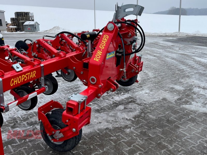 Hackstriegel a típus Einböck ROW-GUARD 500, Gebrauchtmaschine ekkor: Gebenbach (Kép 1)