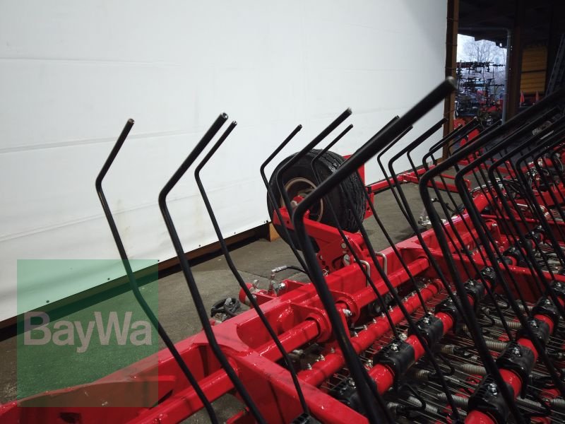 Hackstriegel типа Horsch CURA 12 ST HORSCH STRIEGEL, Gebrauchtmaschine в Erbach (Фотография 4)