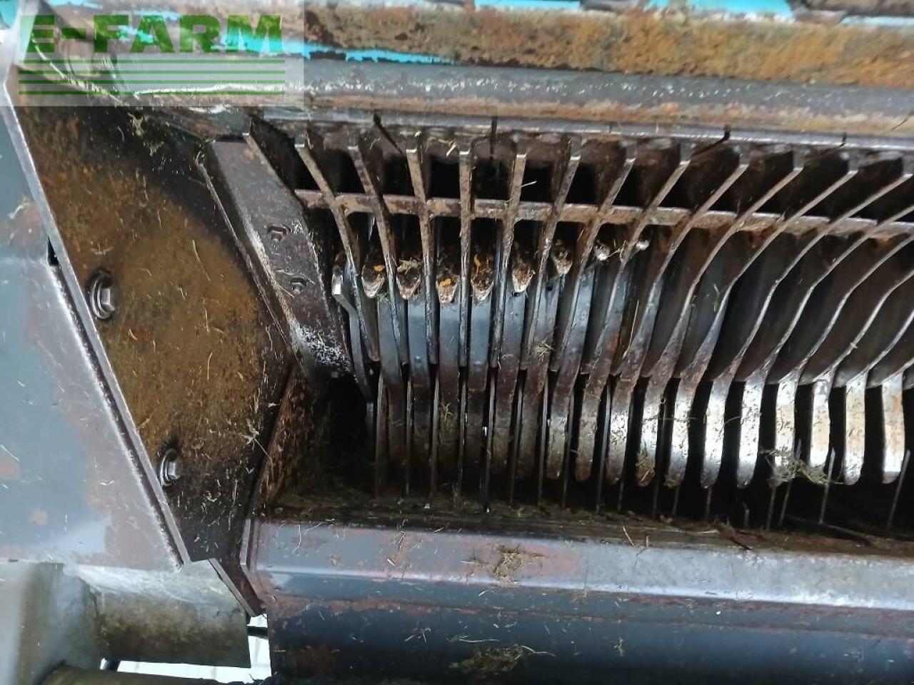 Häcksel Transportwagen του τύπου Mengele rotobull 5000, Gebrauchtmaschine σε ag BROEKLAND (Φωτογραφία 10)