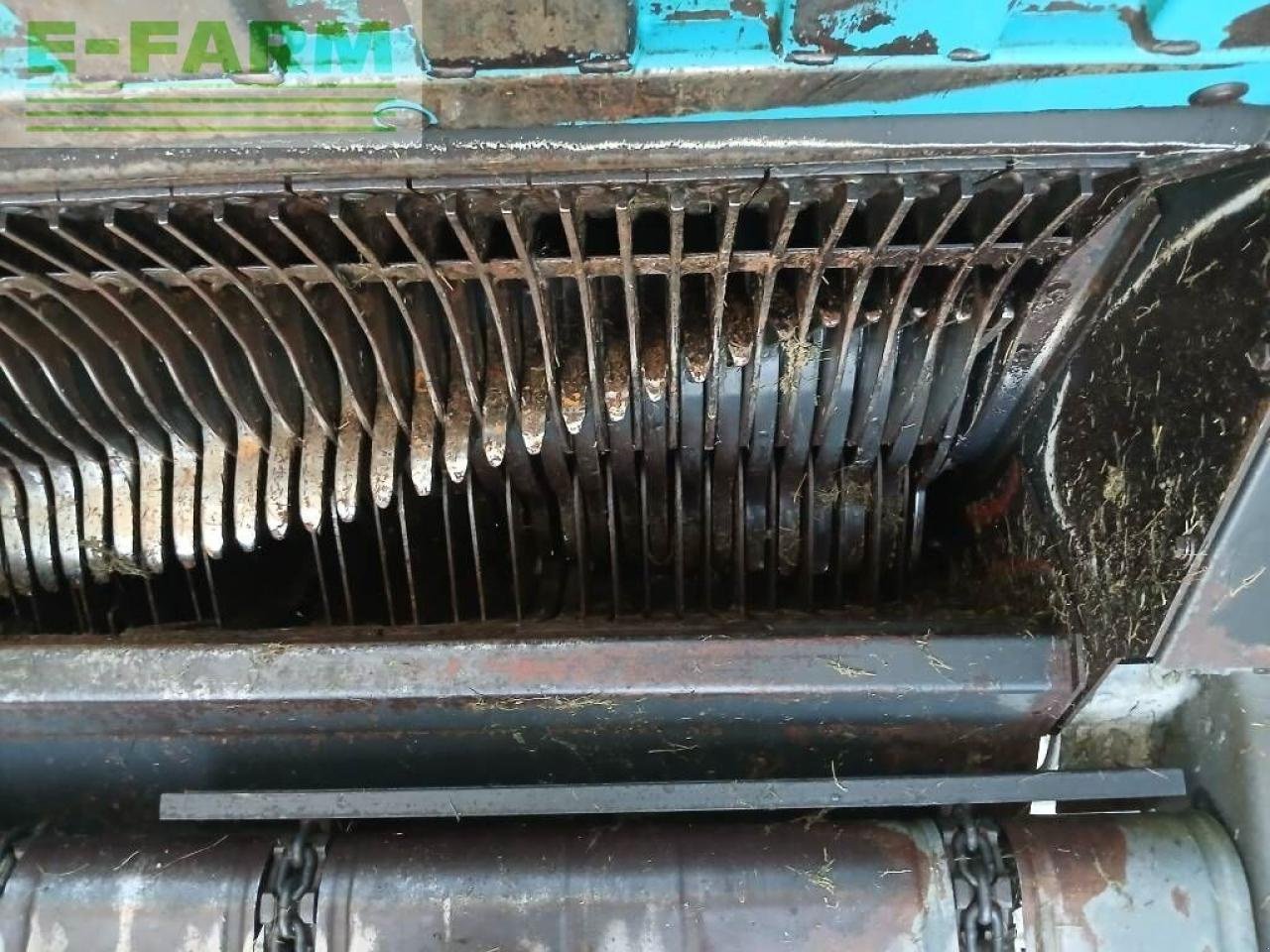 Häcksel Transportwagen του τύπου Mengele rotobull 5000, Gebrauchtmaschine σε ag BROEKLAND (Φωτογραφία 11)