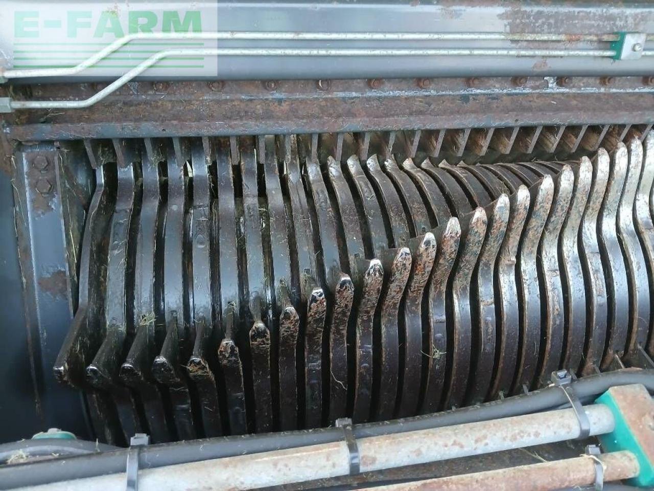 Häcksel Transportwagen του τύπου Mengele rotobull 5000, Gebrauchtmaschine σε ag BROEKLAND (Φωτογραφία 17)