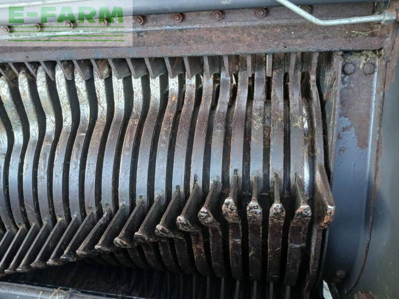 Häcksel Transportwagen του τύπου Mengele rotobull 5000, Gebrauchtmaschine σε ag BROEKLAND (Φωτογραφία 18)