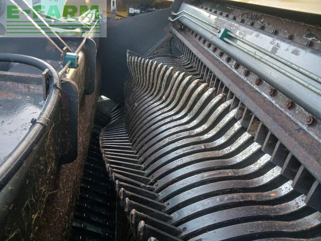 Häcksel Transportwagen του τύπου Mengele rotobull 5000, Gebrauchtmaschine σε ag BROEKLAND (Φωτογραφία 19)