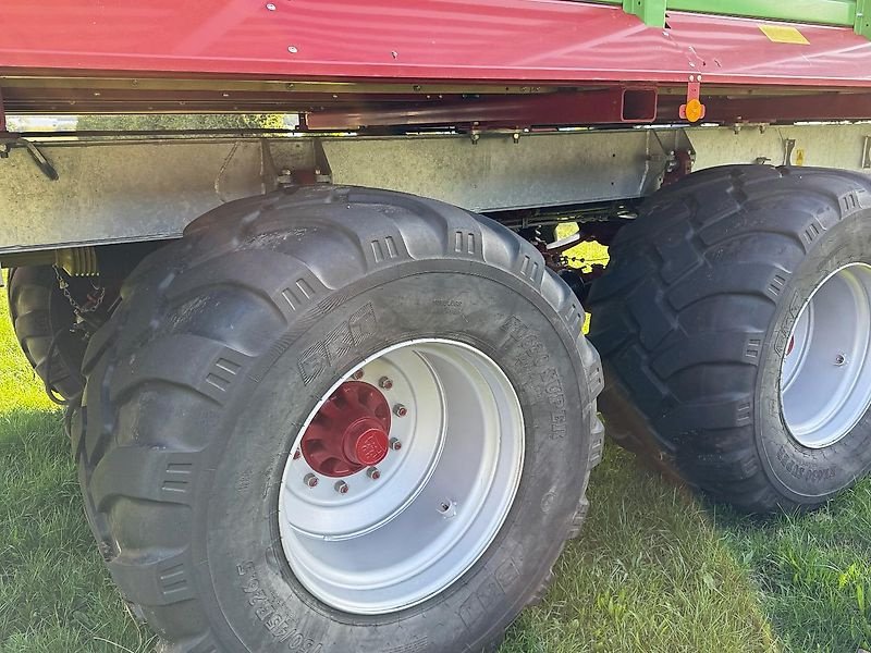 Häcksel Transportwagen des Typs Strautmann Strautmann Giga Trailer 460 DO ,,nur eine Saison genutzt'', Gebrauchtmaschine in Ostercappeln (Bild 10)
