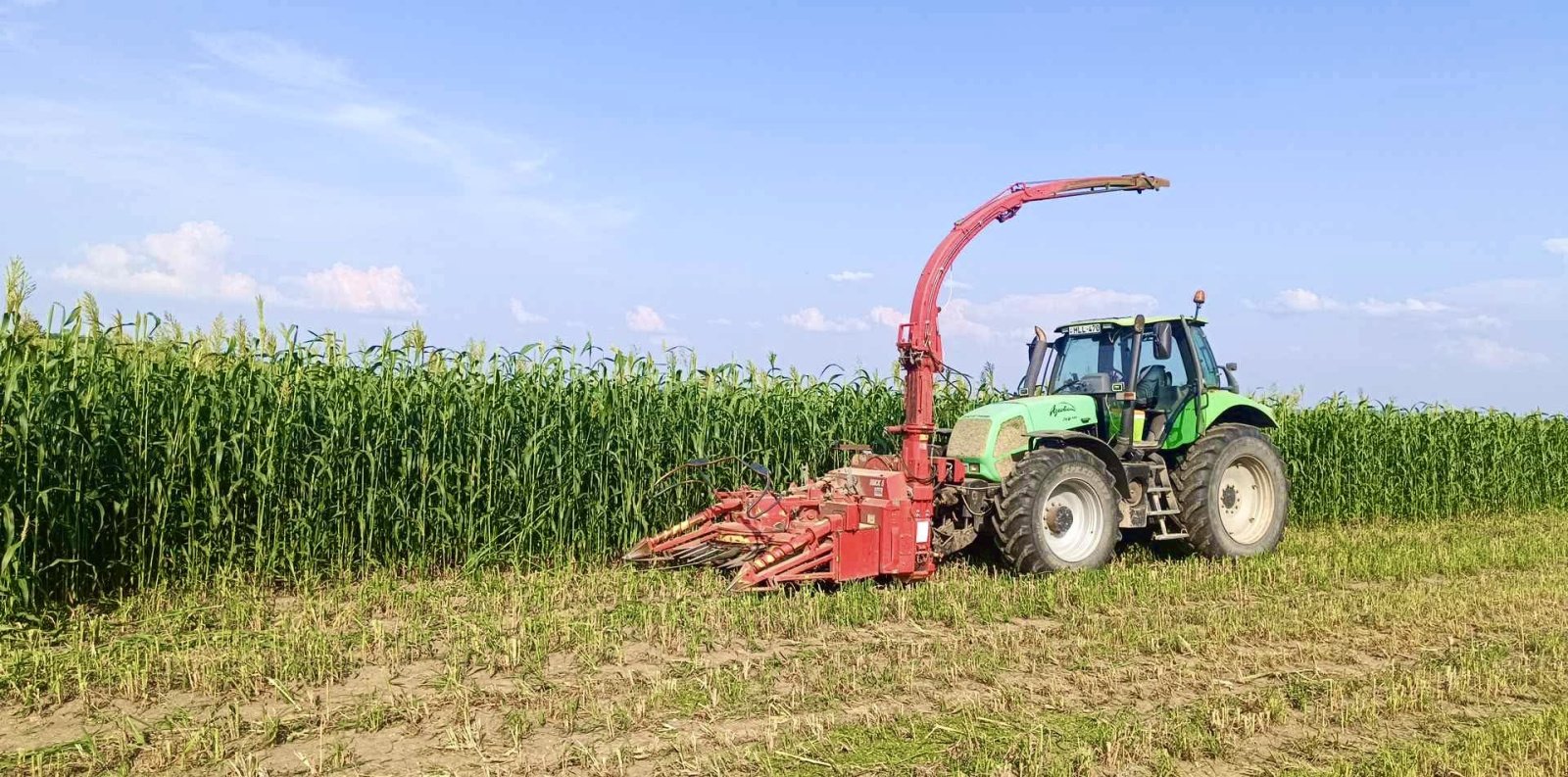 Häcksler typu Pöttinger mex5, Gebrauchtmaschine v Románd (Obrázek 1)