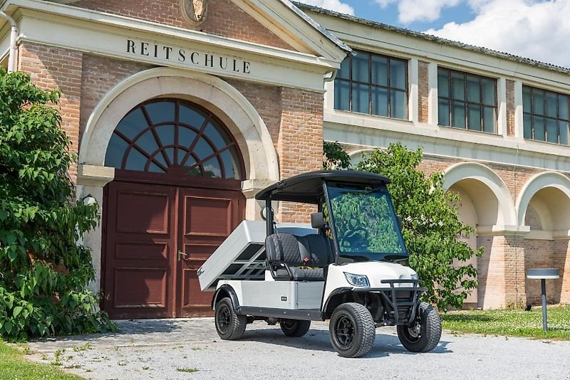 Heckcontainer des Typs ICOCAR Carrier 3.0 LITHIUM EEC Transporter der Extraklasse mit 40 km/h Straßenzulassung ICO CAR, Neumaschine in Wien (Bild 1)