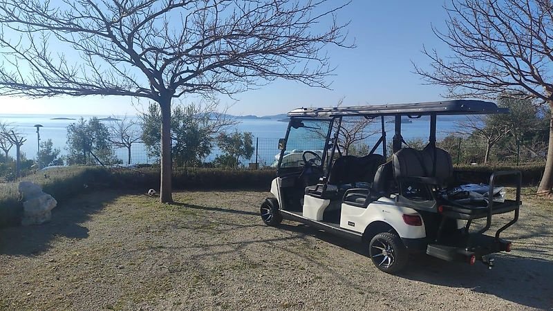 Heckcontainer des Typs ICOCAR Shuttle 4+2 3.0 "DeLuxe" Transportcar der Sonderklasse ICO CAR, Neumaschine in Wien (Bild 3)