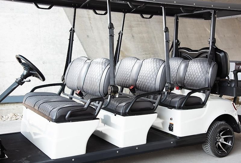 Heckcontainer des Typs ICOCAR Shuttle 6+2 3.0 "DeLuxe" LITHIUM Transportcar der Sonderklasse ICO CAR, Neumaschine in Wien (Bild 11)