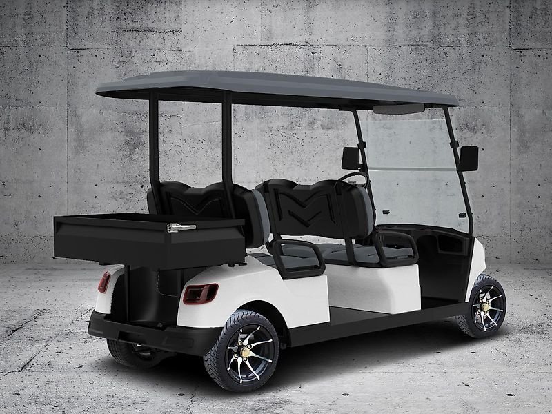 Heckcontainer des Typs ICOCAR Shuttle 6 Cargo 3.0 Vorführfahrzeug, Vorführmaschine in Wien (Bild 2)