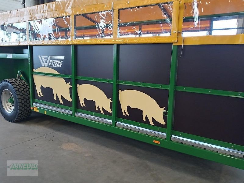 Heckcontainer des Typs Sonstige Viehwagen Western  WF6DTV hydraulisch absenkbar, Neumaschine in Schlettau (Bild 3)