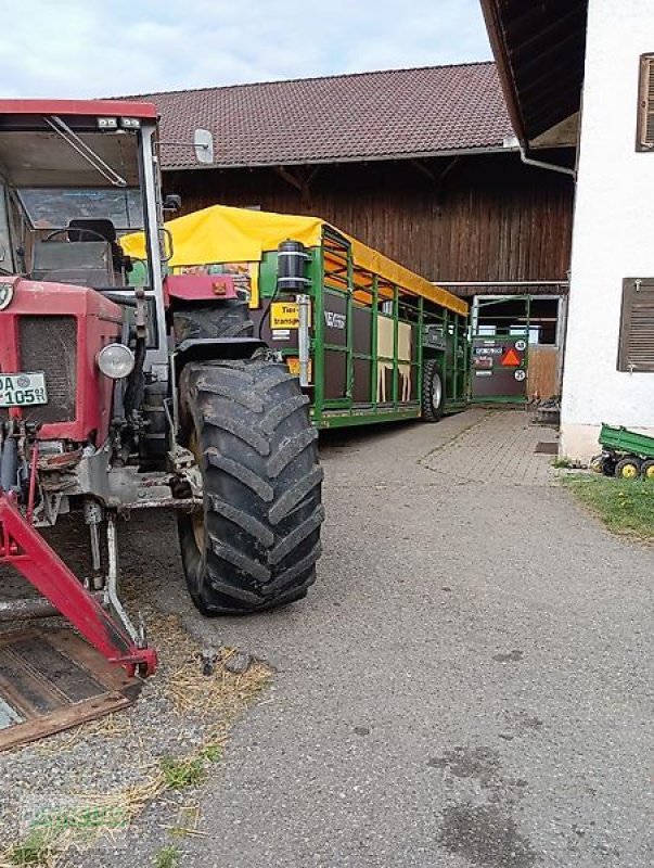 Heckcontainer des Typs Sonstige Viehwagen Western  WF6DTV hydraulisch absenkbar, Neumaschine in Schlettau (Bild 11)