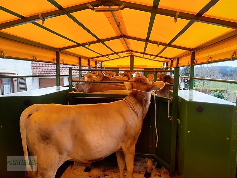 Heckcontainer typu Western WF6DTV, Neumaschine v Schlettau (Obrázek 13)