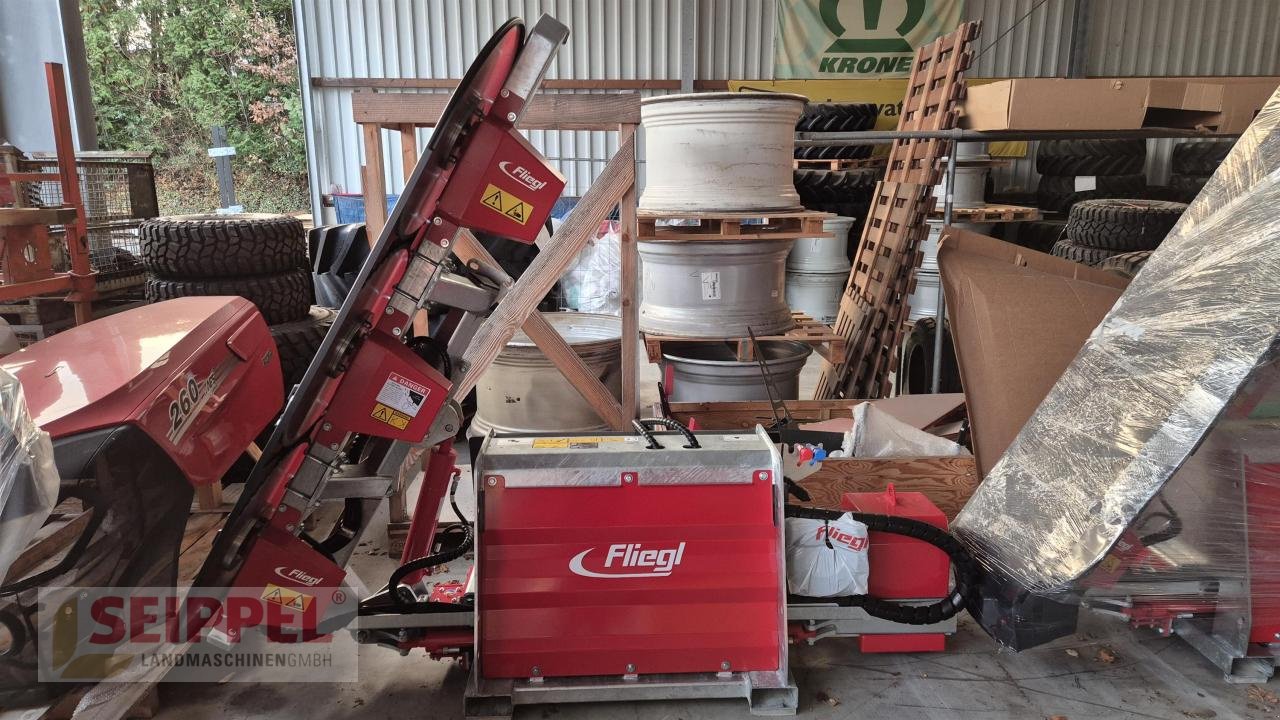 Heckenschere του τύπου Fliegl Woodking Wild, Neumaschine σε Groß-Umstadt (Φωτογραφία 7)