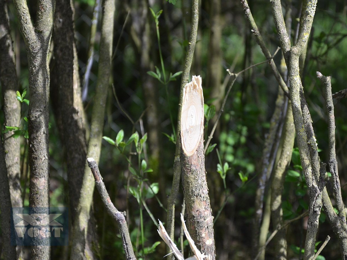 Heckenschere typu Greentec RM 232 Heckenmulcher /Astschneider für Bagger /Radlader /Traktor-Aktion, Neumaschine v Schmallenberg (Obrázek 10)