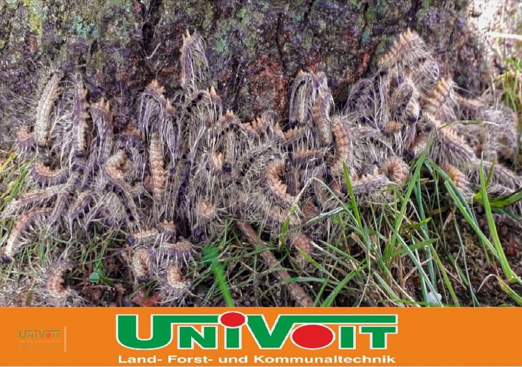 Heißwassergerät of the type Empas Eichenprozessinsspinner Entfernung - Bekämpfung Geräte zu vermieten - kaufen, Gebrauchtmaschine in Warmensteinach (Picture 3)