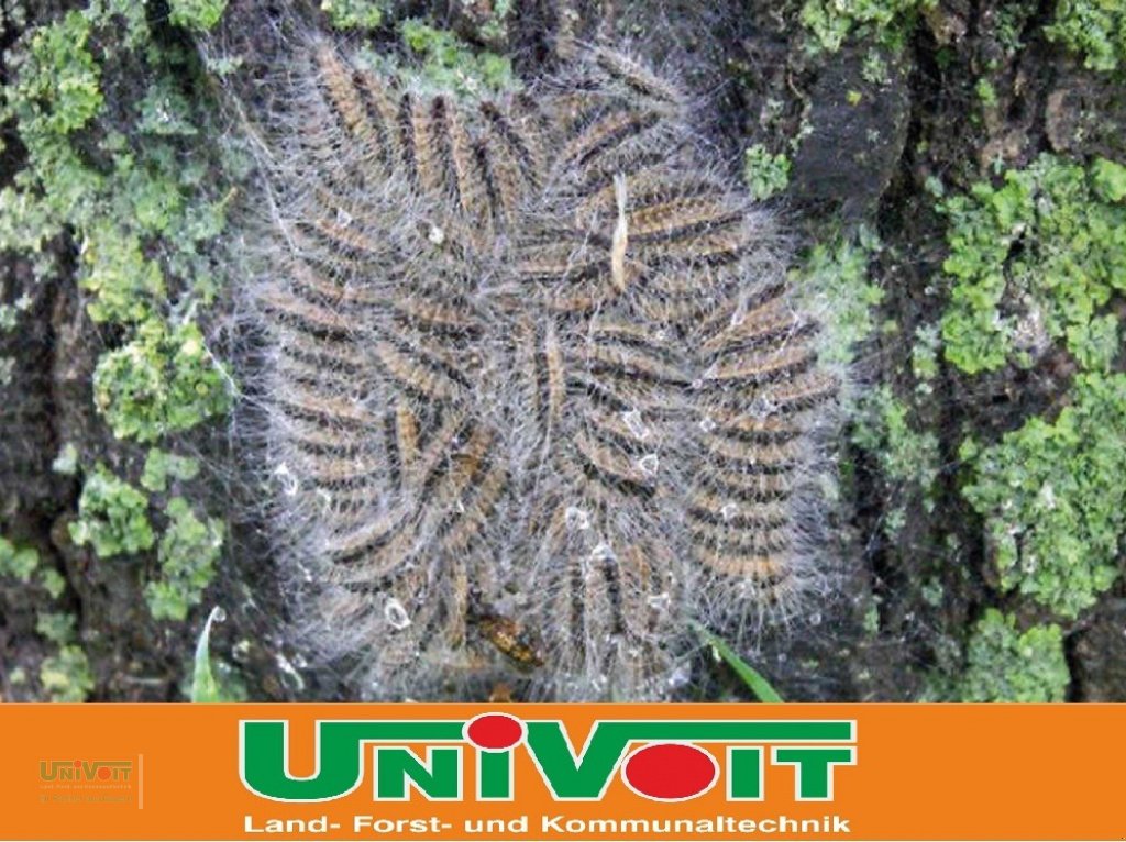 Heißwassergerät of the type Empas Eichenprozessinsspinner Entfernung - Bekämpfung Geräte zu vermieten - kaufen, Gebrauchtmaschine in Warmensteinach (Picture 5)