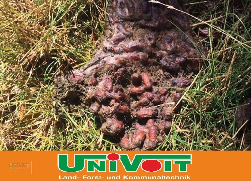 Heißwassergerät of the type Empas Eichenprozessinsspinner Entfernung - Bekämpfung Geräte zu vermieten - kaufen, Gebrauchtmaschine in Warmensteinach (Picture 8)