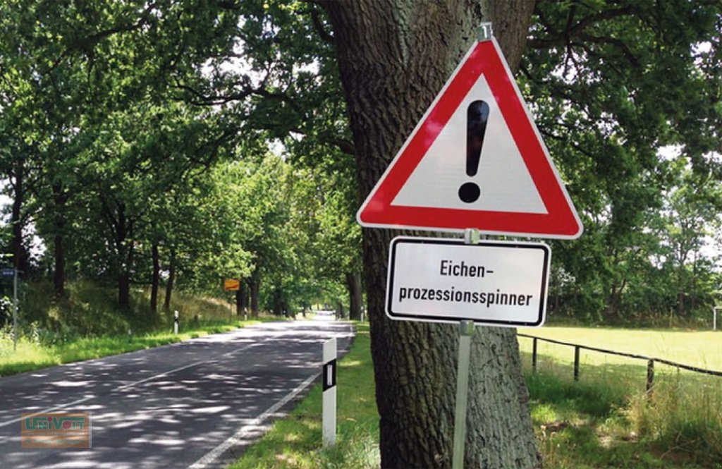 Heißwassergerät of the type Empas MCB TWIN Fahrzeugaufbau Unkrautvernichtung ohne Chemie Eichenprozessionsspinner, Neumaschine in Warmensteinach (Picture 6)