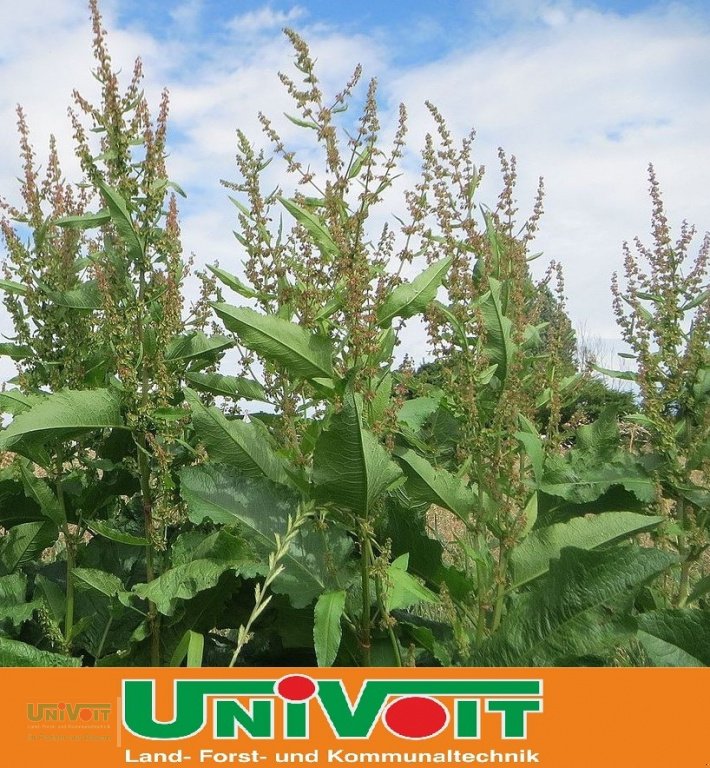 Heißwassergerät of the type Empas Stumpfblättriger Ampfer Bekämpfung Unkraut, Neumaschine in Warmensteinach (Picture 1)