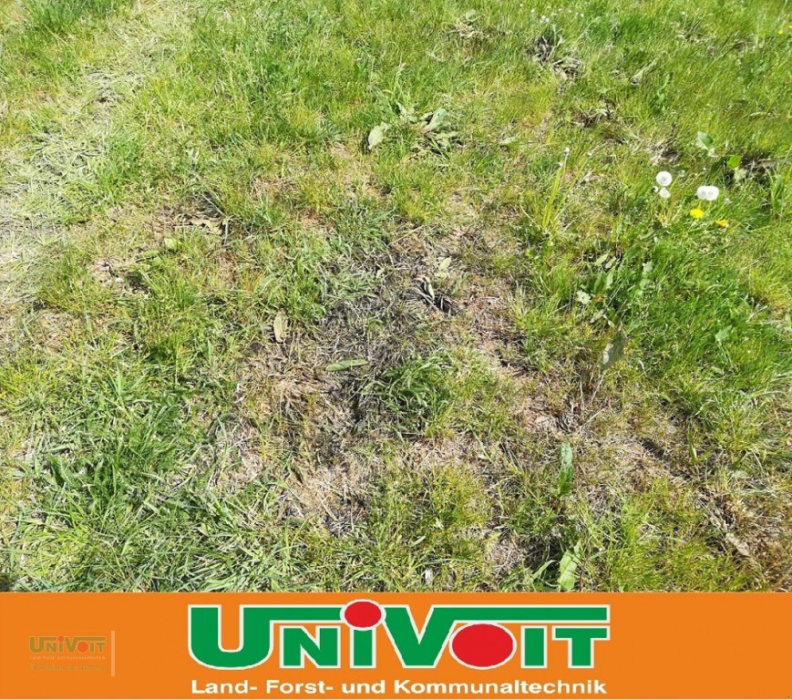 Heißwassergerät of the type Empas Stumpfblättriger Ampfer Bekämpfung Unkraut, Neumaschine in Warmensteinach (Picture 3)