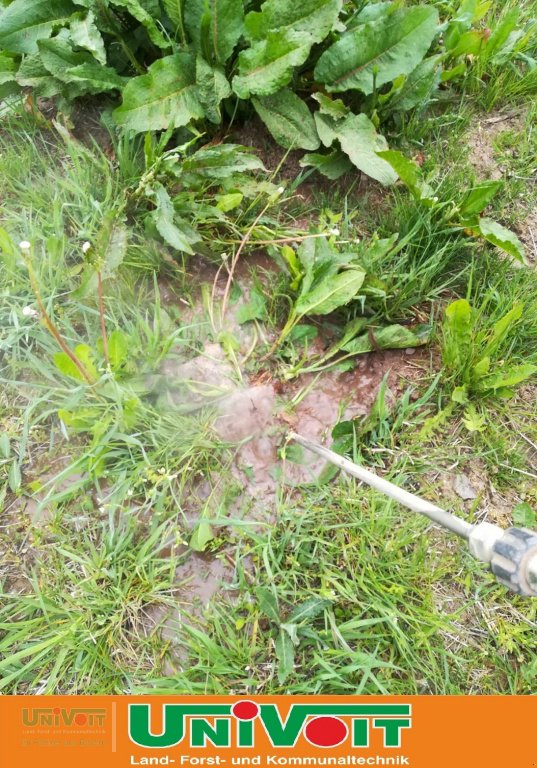 Heißwassergerät of the type Empas Stumpfblättriger Ampfer Bekämpfung Unkraut, Neumaschine in Warmensteinach (Picture 5)