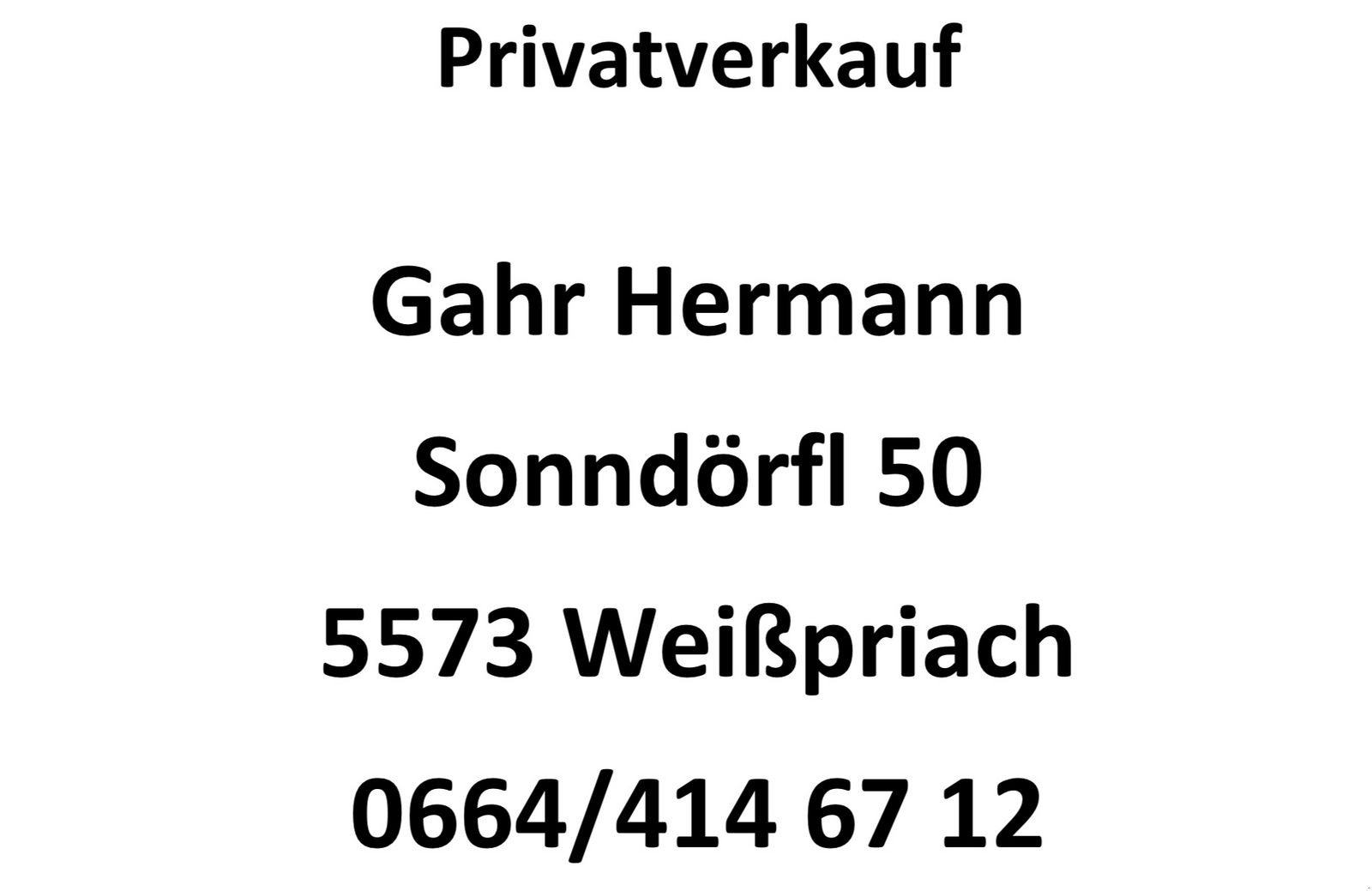 Heukran des Typs Lasco Hallenkran DKS GH 70, Privatverkauf, Gebrauchtmaschine in Tamsweg (Bild 20)