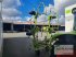 Heuwender des Typs CLAAS VOLTO 670 H, Gebrauchtmaschine in Melle-Wellingholzhausen (Bild 11)