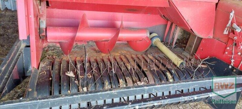 Hochdruckpresse Türe ait Case IH 554, Gebrauchtmaschine içinde Saulheim (resim 4)