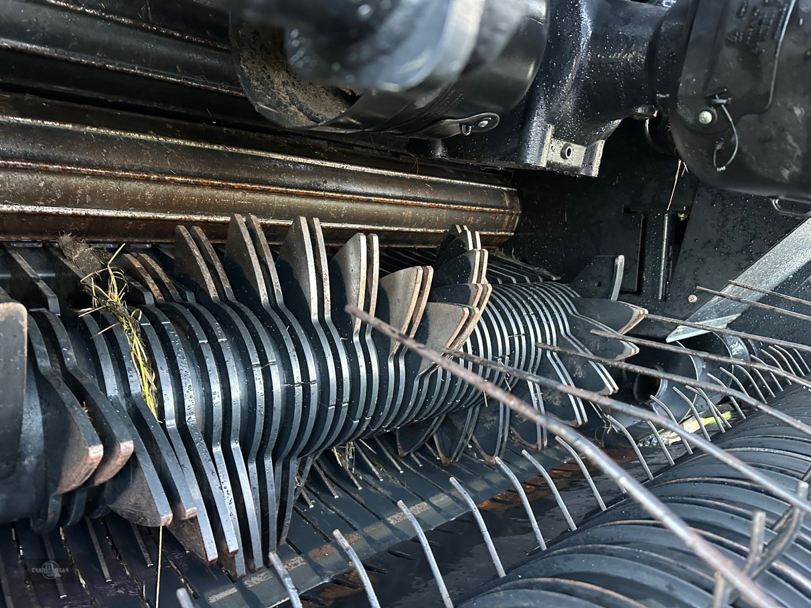 Hochdruckpresse of the type Case IH RB 545 Siloballen Presse Heu Stroh Iso-Bus 25 Messer, Gebrauchtmaschine in Rankweil (Picture 16)