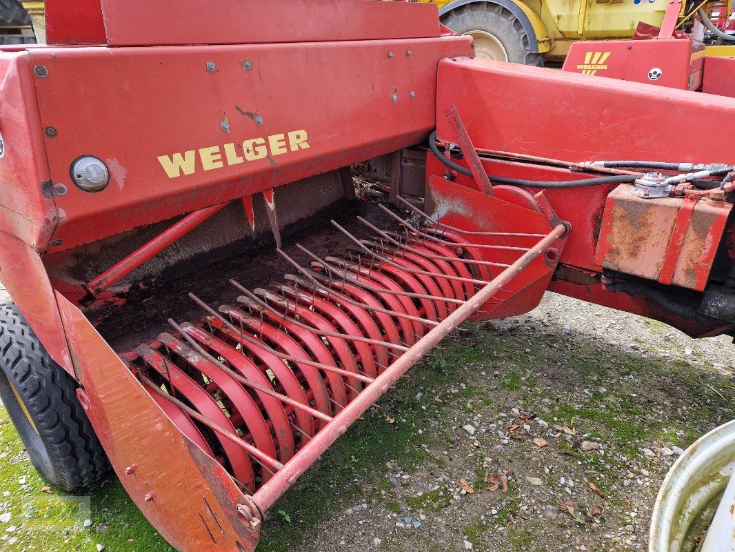 Hochdruckpresse typu Welger AP 42 & AP 52, Gebrauchtmaschine v Schenkenberg (Obrázek 14)