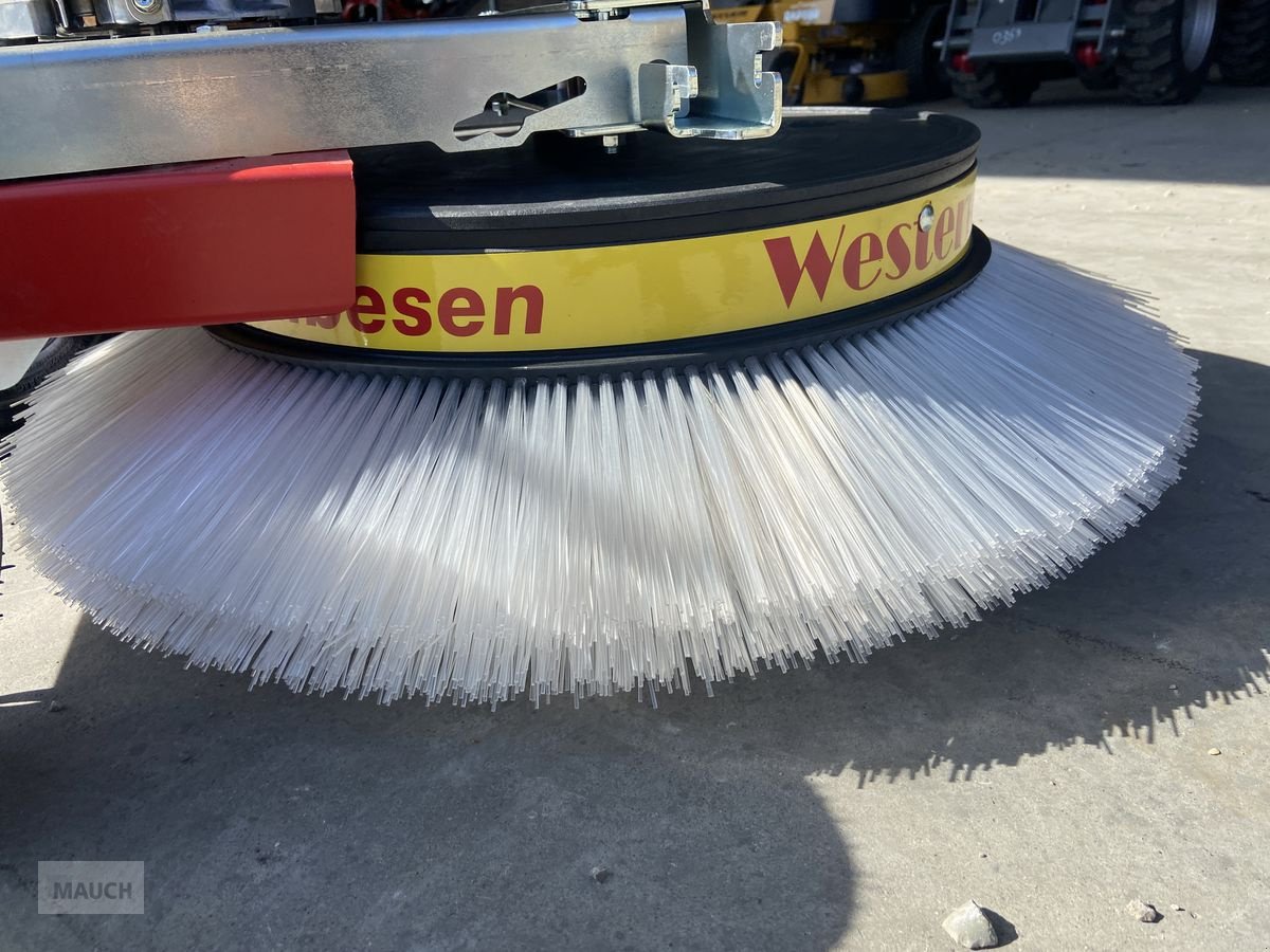Hochdruckreiniger Türe ait Westermann Radialbesen WR 870 Spezial NEU, Neumaschine içinde Burgkirchen (resim 14)