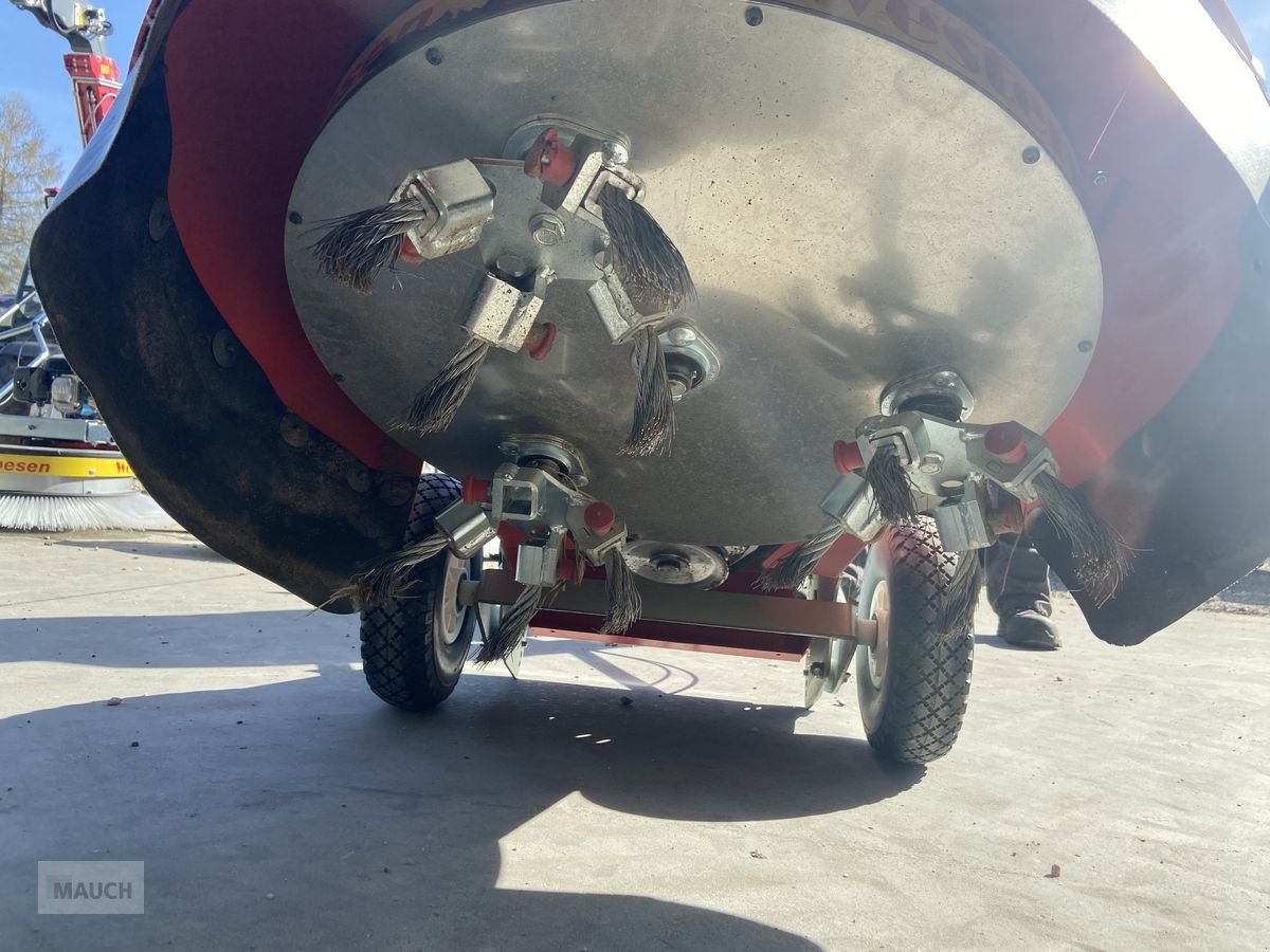 Hochdruckreiniger Türe ait Westermann Wildkrautbesen WKB660 Honda NEU, Neumaschine içinde Burgkirchen (resim 11)