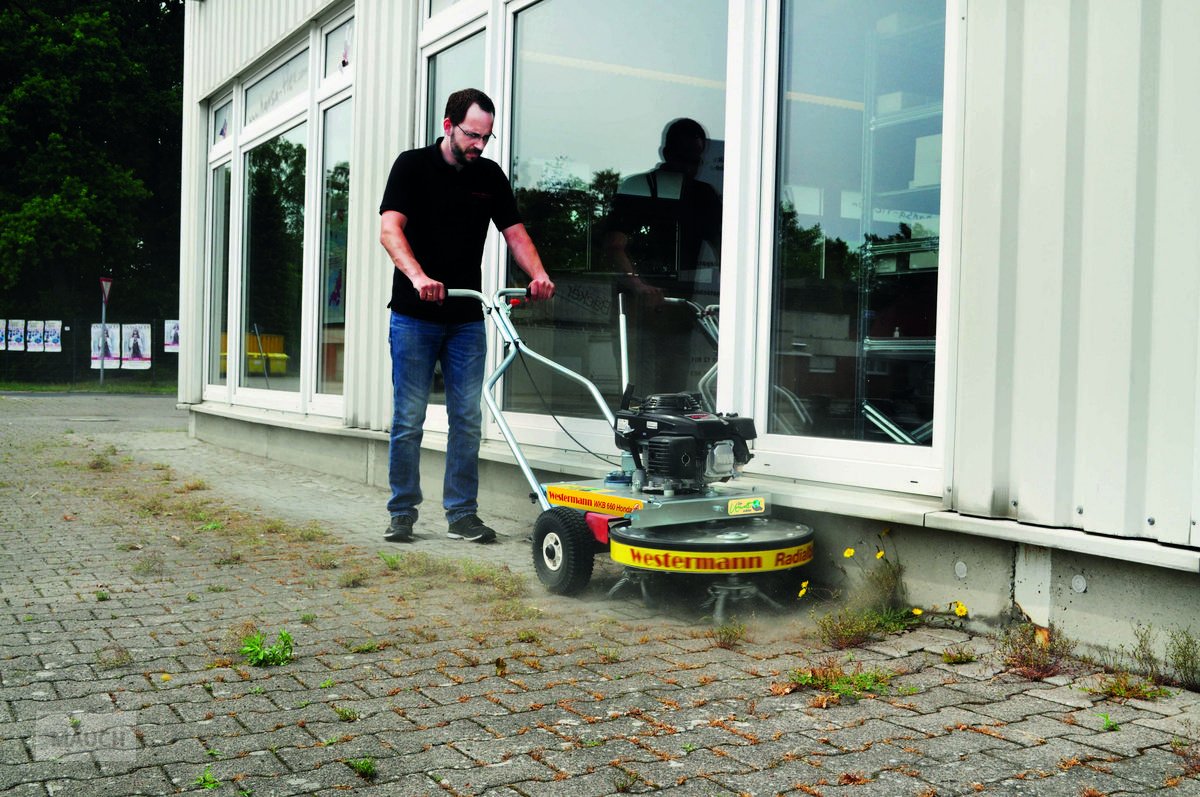 Hochdruckreiniger Türe ait Westermann Wildkrautbesen WKB660 Honda NEU, Neumaschine içinde Burgkirchen (resim 3)