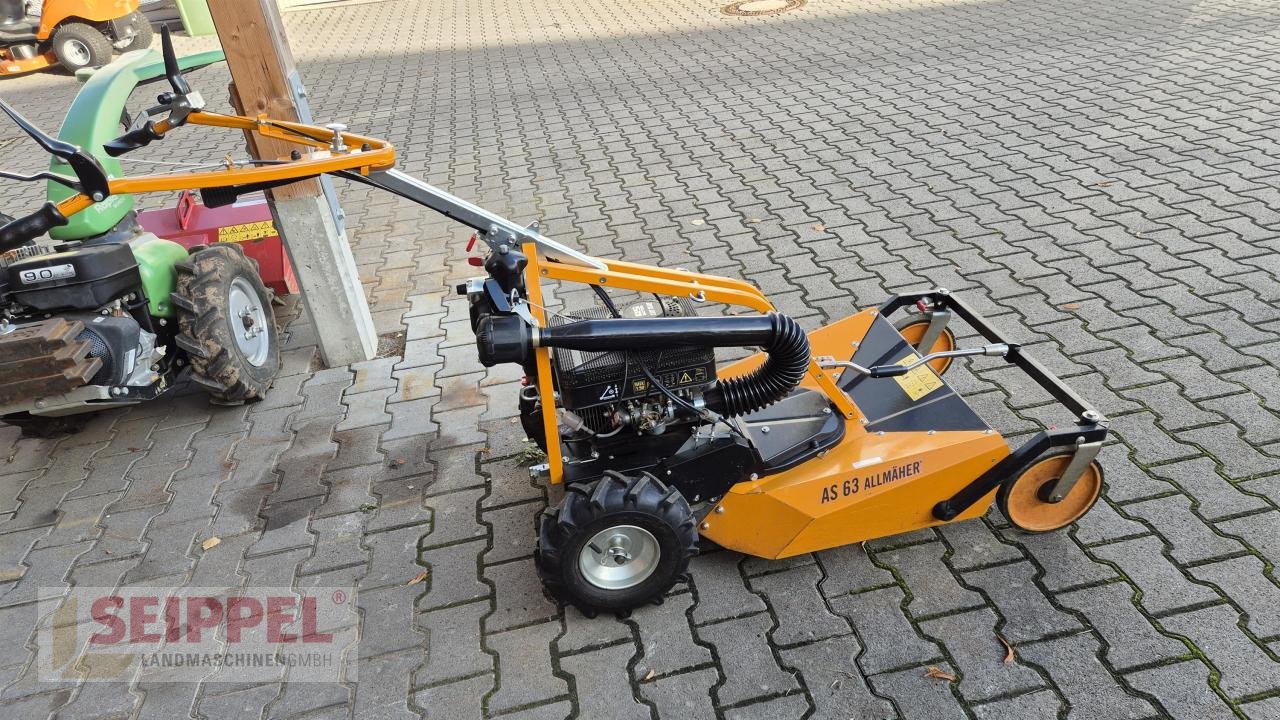 Hochgras/Wiesenmäher des Typs AS-Motor AS 63 2T ES Allmäher, Neumaschine in Groß-Umstadt (Bild 1)