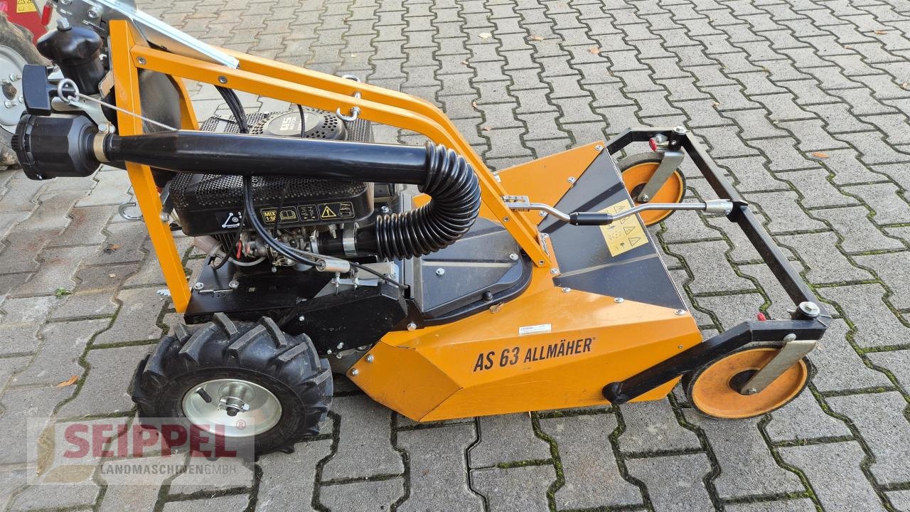 Hochgras/Wiesenmäher des Typs AS-Motor AS 63 2T ES Allmäher, Neumaschine in Groß-Umstadt (Bild 2)
