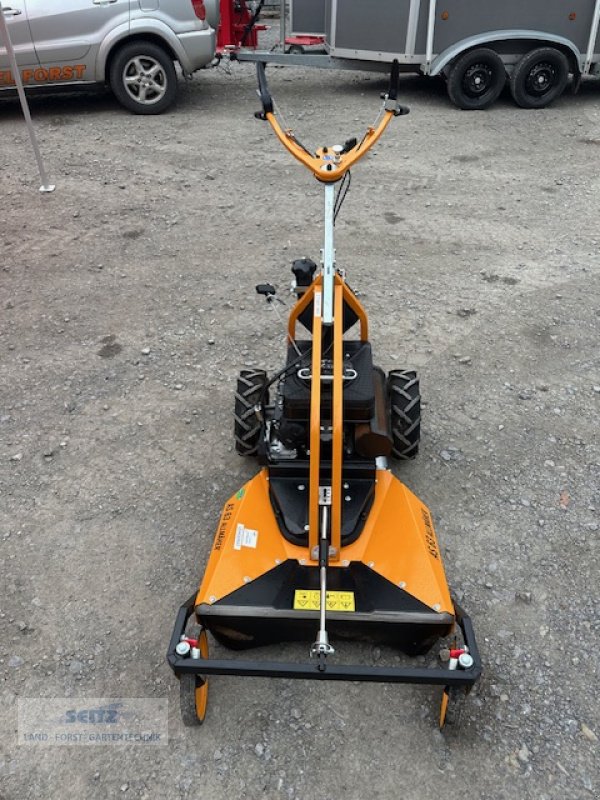 Hochgras/Wiesenmäher des Typs AS-Motor AS 63 2T ES, Neumaschine in Lindenfels-Glattbach (Bild 1)