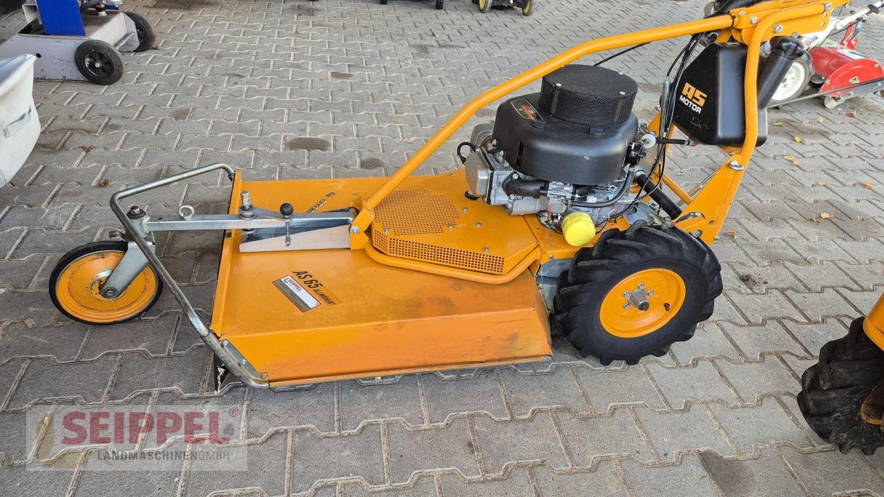 Hochgras/Wiesenmäher typu AS-Motor AS 65 4T B&S ALLMÄHER, Neumaschine v Groß-Umstadt (Obrázek 1)