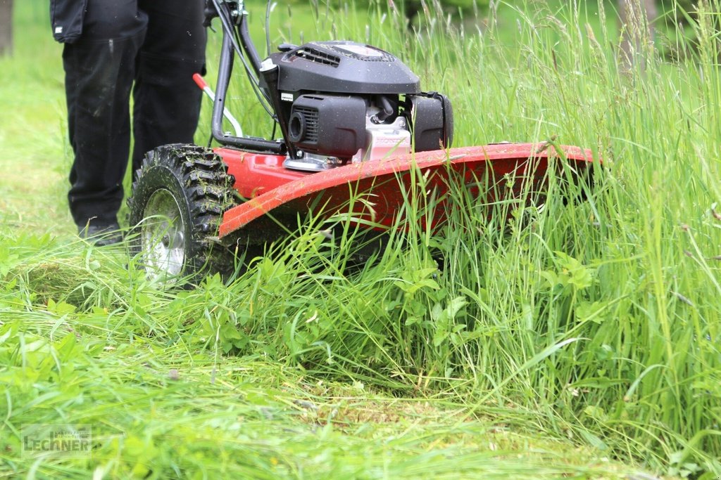 Hochgras/Wiesenmäher des Typs Vari BDR-720D Adela Pro mit Honda GCV200 Motor - Trommelmäher Mulchmäher Gestrüppmäher, Neumaschine in Bad Abbach-Dünzling (Bild 7)